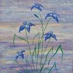 iris | raindrops | oil painting | Heatherbell Barlow | floral