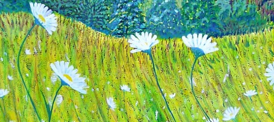 Devon Artist | Wild Flower Meadows