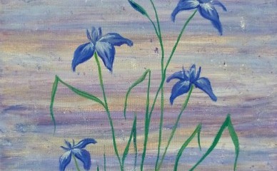 iris | raindrops | oil painting | Heatherbell Barlow | floral