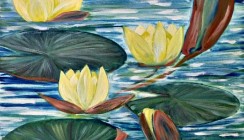 Yellow water lily – sold