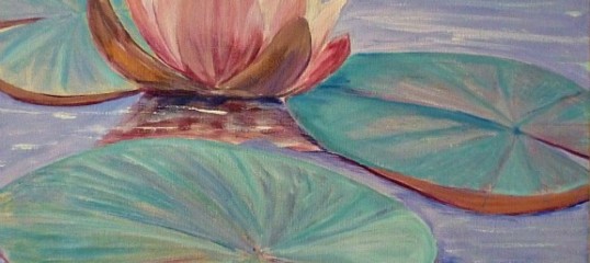 oil painting | water lily | pink | Heatherbell Barlow | canvas|